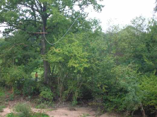 dscn1267.jpg.jpg