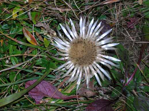 dscn1560.jpg.jpg