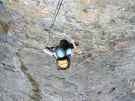 thumbs/dscn1643.jpg.jpg