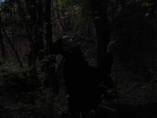 dscn3218.jpg.jpg