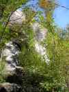 thumbs/dscn3240.jpg.jpg