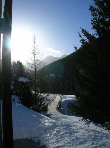 dscn3281.jpg.jpg