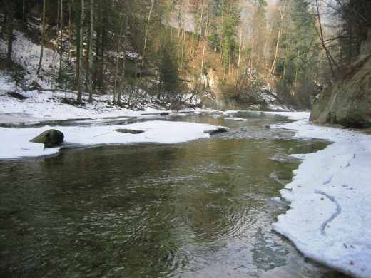 img_0228.jpg.jpg