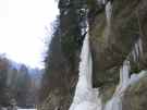 thumbs/img_0193.jpg.jpg