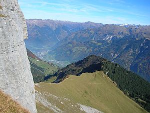 Braunwald 05org