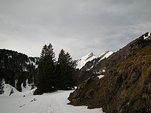 2011-03-13 Speer Schneeschuhtour