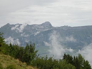 Margelkopf