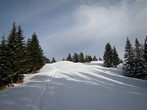 Sa_Wanderung auf First