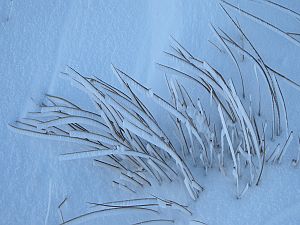 2012-01-14_Fäneren