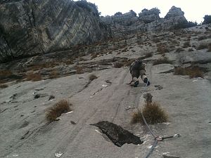 2013-11-01_Brueggler