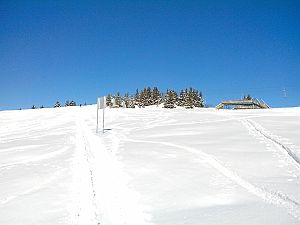 2013-12-01_Matona Skitour