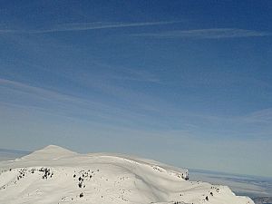 2015_01_06_Matona