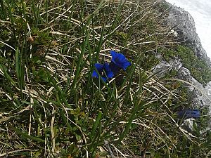 2015_06_06_Raetikon_SAC