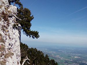 2016_04_10 Balmflue