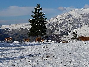 2016_05_09_Korsika