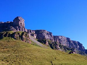 2016_08_23_Laeged Windgaellen_November sunne