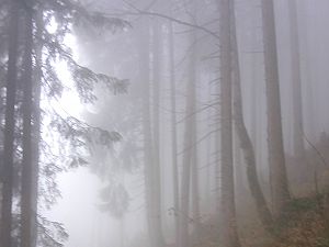 2016_11_27 Alpwegkopf