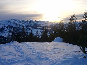 2017_01_28_W_Gulmen
