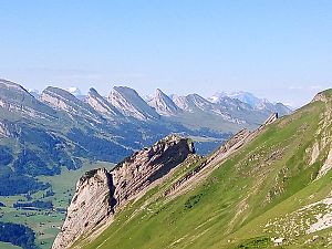 2017_07_30 Altmann