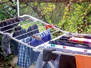 2017_09_16_andere Kletterkünstler