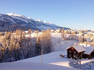 2017_11_14 S Alp Fros