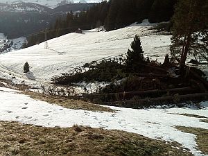 2018_01_08 nach Sturm