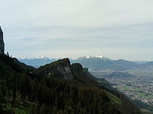 2018_05_26 Loewenzahne