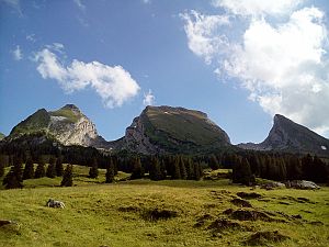 2018_07_14 Brisi Luky + Sina