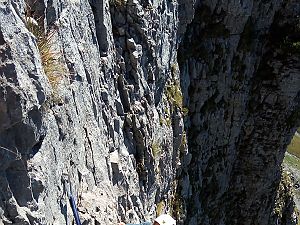2018_09_09 Hohwand-Bandwurm