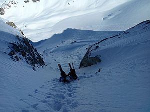 2019_02_17 Kleines Seehorn