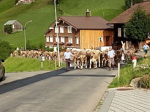2019_08_17 Schafberg