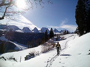 2020_02_09 Neuenalp