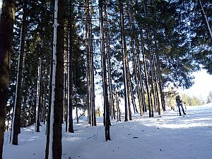 Wanderung von Wildhaus nach Gamperfin