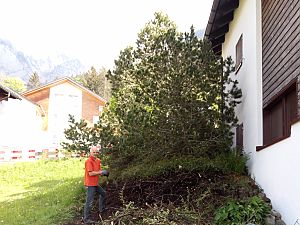 2020_05_17 Gartenarbeit