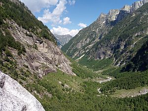 2020_06_01 Calnegia