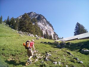 2020_06_13 Goggeien