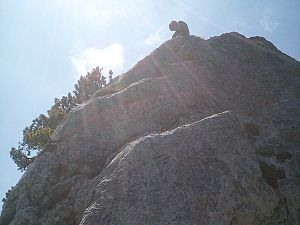 2020_06_27 Goggeien
