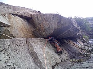2020_07_29 Tommy