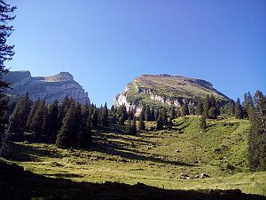 2020_08_09 Frümsel Liechtblick