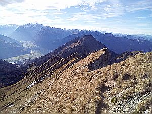 2020_11_15 Speer