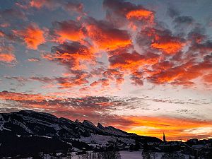 2020_11_22_Wanderung