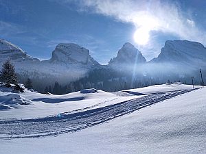 2021_01_02 Sellamatt