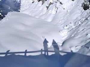 2021_02_14 Davos