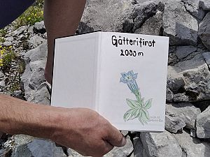 2021_06_27 Gätterifirst Etterverschneidung