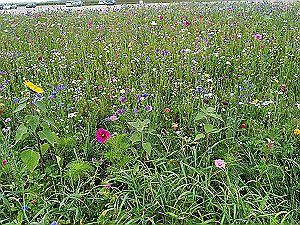 2021_08_31 Lossburg