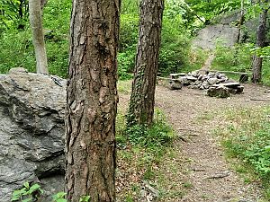2022_05_08 Hirschensprung