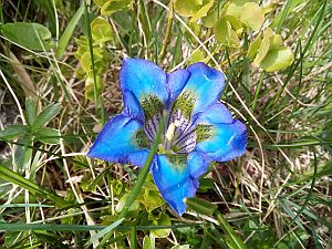 2022_05_21-22 Tessin