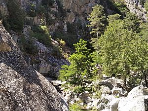 2022_06_13 Tavignanotal