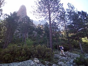 2022_06_14 candela dell'oro