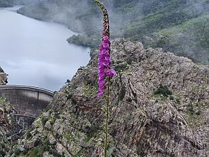 2023_05_21 Monte Latu